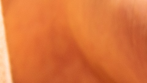 Reembolsos de hasta $400: ¿Quiénes pueden solicitarlo?