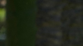 People enjoy refreshments under the shade at the Echo Park Lake in Los Angeles Wednesday, July 5, 2023. Wednesday could become the third straight day that global temperatures unofficially hit a record-breaking high. In the U.S., heat advisories include portions of western Oregon, inland far northern California, central New Mexico, Texas, Florida and the coastal Carolinas, according to the National Weather Service Weather Prediction Center. (AP Photo/Damian Dovarganes)
