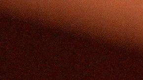 “Nunca hemos visto candidatos tan defectuosos, tan comprometidos y tan poco cualificados como ahora”, afirmó Schumer.