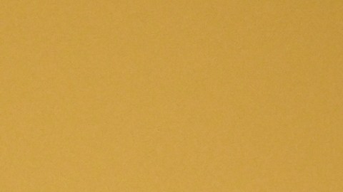 Selena Gomez confiesa por qué quiere grabar de nuevo una de sus canciones más famosas