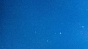 Shakira Antonio de la Rúa