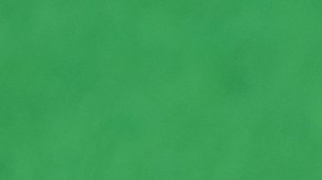 Llaman la atención sobre riesgos de la sífilis congénita tras muerte de tres bebés en Nueva York