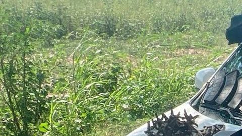 Las autoridades han incrementado su presencia en zonas dominadas por el Cártel de Sinaloa.