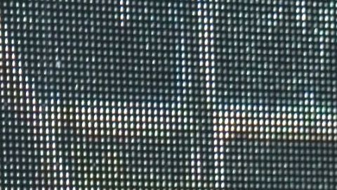 Sofía Rivera Torres