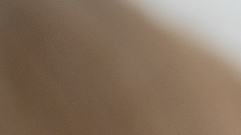 ¡Eureka! Componente para el cuidado del cabello humano pudiera ser una respuesta efectiva para reparar el esmalte dental