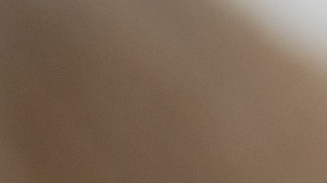 ¡Eureka! Componente para el cuidado del cabello humano pudiera ser una respuesta efectiva para reparar el esmalte dental