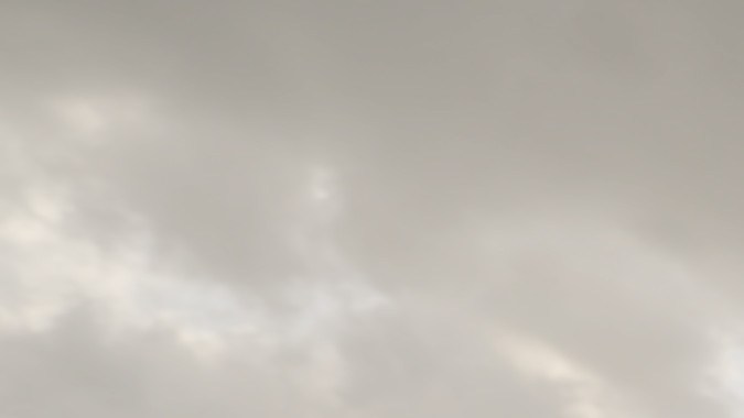 The Last Rhinos: A New Hope