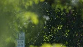 Operativo policiaco en la Escuela Católica Annunciation