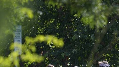 Operativo policiaco en la Escuela Católica Annunciation