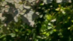 Los Angeles Department of Water and Power crews work on Friday, Aug. 1, 2014 to repair the "Y"-shaped juncture where a water rupture occurred on Tuesday near the University of California, Los Angeles. An estimated 20 million gallons of water cascaded onto campus from the broken century-old water main, in the midst of California's worst drought in decades. (AP Photo/Damian Dovarganes)