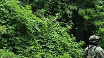 Vehículo incendiado