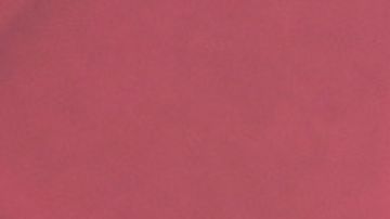 Vicente Fernández Jr