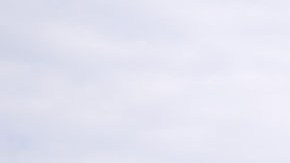 Presencia policiaca en Washington