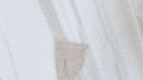 President Donald Trump, center, walks in the Cross Hall with Ukrainian President Volodymyr Zelenskyy, followed by British Prime Minister Keir Starmer, French President Emmanuel Macron, German Chancellor Friedrich Merz, Italian Prime Minister Giorgia Meloni, Finnish President Alexander Stubb, NATO Secretary General Mark Rutte and European Commission President Ursula von der Leyen, at the White House, Monday, Aug. 18, 2025, in Washington. (AP Photo/Alex Brandon)