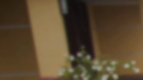 El hecho provocó indignación en la comunidad de Los Ángeles, por lo que directivos escolares y la propia policía local intervino para su liberación.