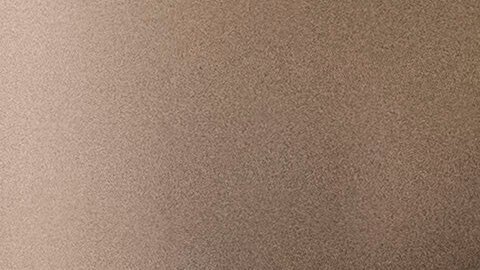 Según Javier Ramírez, los agentes de ICE lo acusaron de morder y escupir a uno de los oficiales, pero él asegura que es falso.