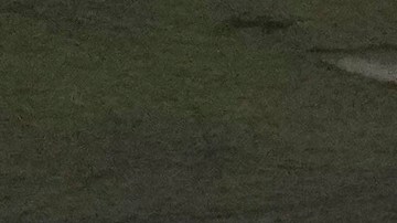 El inmigrante denuncia que en Alligator Alcatraz comparte celda con otros 30 hombres en condiciones que describe como infrahumanas.