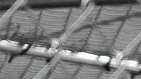 La jueza federal Kathleen Williams fijó un plazo de dos meses para desmantelar el sitio.