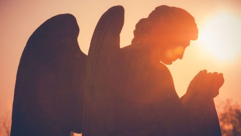 Los ángeles encarnados son personas cuya misión es ayudar a los demás.