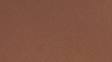 Los bomberos estaban luchando contra las llamas en el oeste de Washington, cuando ICE detuvo su trabajo.