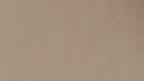 La vivienda se trata de un monoambiente que, si bien ofrece todas las necesidades, la ubicación del baño causa impresión.