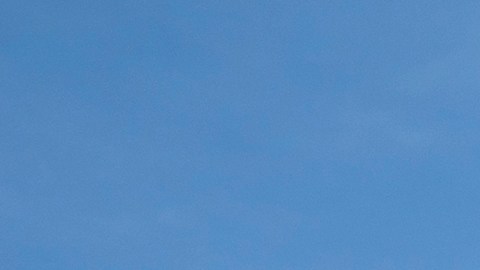 El Censo de EE.UU. debe contar a las personas en el país, sin importar su estatus migratorio.