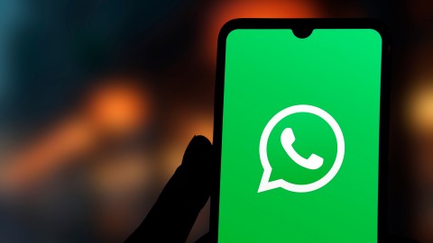 Para usar ChatMigrante, basta con enviar la palabra “hola” a un número indicado en WhatsApp y se activará el servicio.