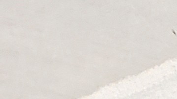 Los conejos infectados con el virus del papiloma de Shope desarrollan crecimientos similares a cuernos que generaron alarma entre los residentes de Fort Collins.