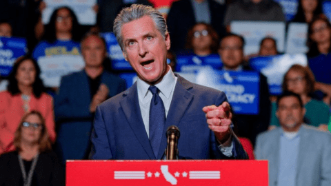"Vamos a combatir el fuego con fuego": cómo el gobernador Gavin Newsom emergió como el líder de la oposición a Donald Trump en EE.UU.