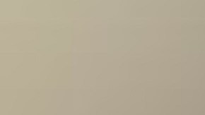 Mide 1,80 metros, pesa unos 82 kilos, tiene cabello rubio corto y rapado, bigote y ojos azul verdosos.