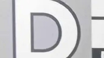 Carlquist fue acusada de daños a la propiedad en primer grado, un delito grave en Kentucky.