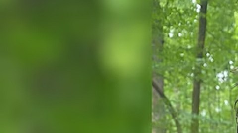 Drummond fue detenido en una zona boscosa de Jackson por agentes de la Oficina de Investigaciones de Tennessee