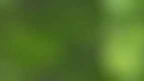 Drummond fue detenido en una zona boscosa de Jackson por agentes de la Oficina de Investigaciones de Tennessee