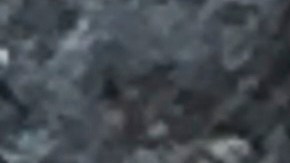 Pese al caso, las autoridades aseguran que el riesgo para la salud pública estadounidense es actualmente "muy bajo".