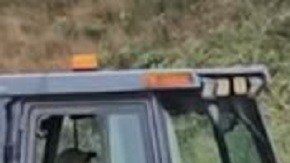 la escena de una autopista cubierta de perritos calientes dejó una imagen difícil de olvidar, tanto para los conductores como para los trabajadores de limpieza.