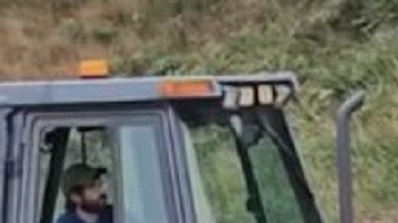 la escena de una autopista cubierta de perritos calientes dejó una imagen difícil de olvidar, tanto para los conductores como para los trabajadores de limpieza.