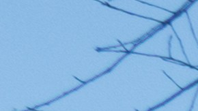 Agentes de ICE llegaron al Centro Clínico de Bethesda, en Maryland, para arrestar a la hispana.