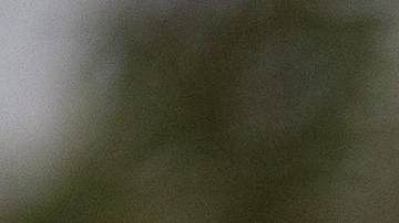 Los agentes persiguieron al inmigrante hasta su casa, pero logró trancar la puerta en el último segundo y dejarlos afuera, evitando el arresto.