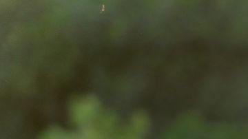 El universo envía señales claras cuando tu karma está en proceso de sanación.