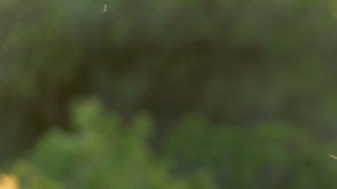 El universo envía señales claras cuando tu karma está en proceso de sanación.