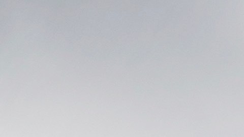 Según vecinos de East Palo Alto, el desmayo fue provocado por el nivel de estrés y ansiedad que sufren los inmigrantes en EE.UU., debido a las masivas redadas de ICE.