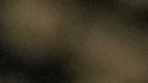 La transmisión de la sesión captó el bochornoso momento donde legisladores protagonizaron un zafarrancho.