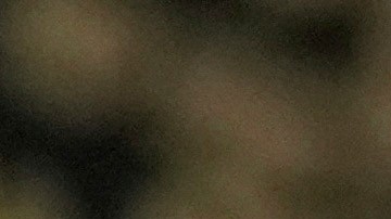 La transmisión de la sesión captó el bochornoso momento donde legisladores protagonizaron un zafarrancho.