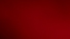 TikTok eliminará la palabra “confiable” en su misión y ahora define la plataforma como un espacio “seguro, divertido y creativo”.