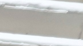 “Roguemos a Dios que detenga la pandemia de armas, grandes y pequeñas, que infecta nuestro mundo”, dijo el pontífice.