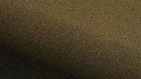 El Border Collie es una raza británica de perro pastor, de tamaño mediano. Es originario de la región de la frontera anglo-escocesa.