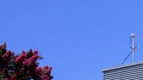 El parque Lafayette queda en la zona de Westlake, de mayoría latina.