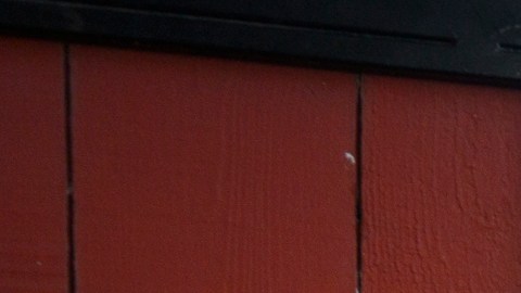 Leticia Alvarado falleció a consecuencia de que un conductor manejaba en sentido contrario en Santa Ana.