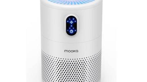 Instalar un purificador de aire puede ser una idea para usuarios que cuentan con alergias al polvo o asma