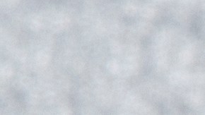 La nueva función se encuentra disponible para los usuarios que cuenten con la última versión de la app